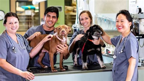 Veterinary Tech Career