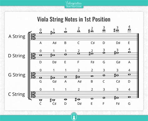 Viola String Chart