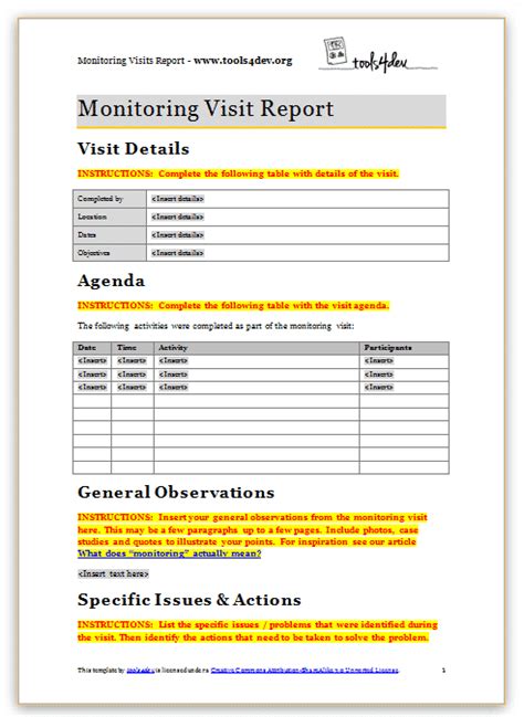 Visitation Report Template