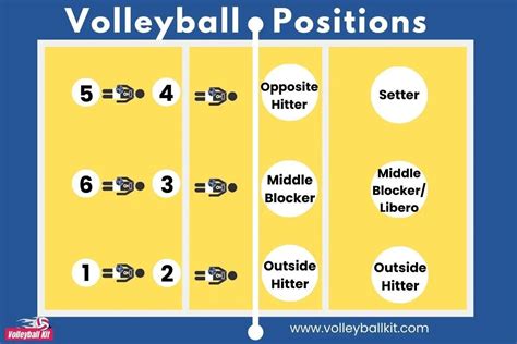 Volleyball Positions Chart