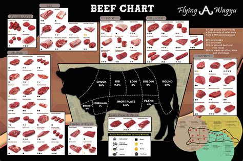 Wagyu Beef Chart