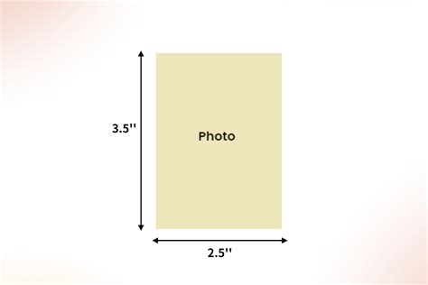 Wallet Size Photo Template