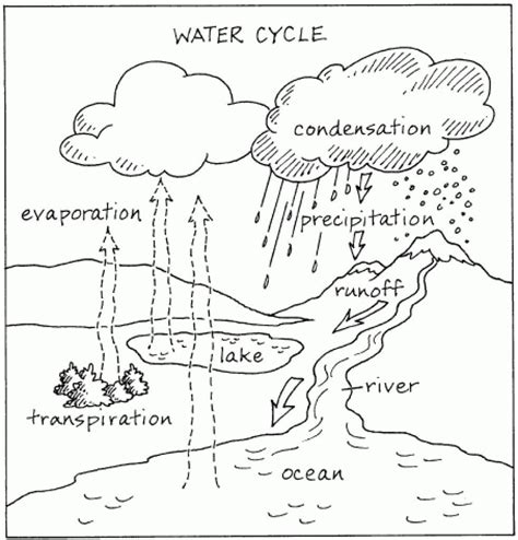 Water Cycle Printable Diagram