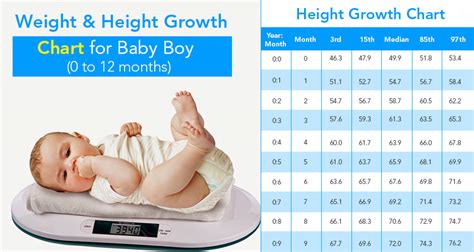 Weight Chart For Infants In Pounds