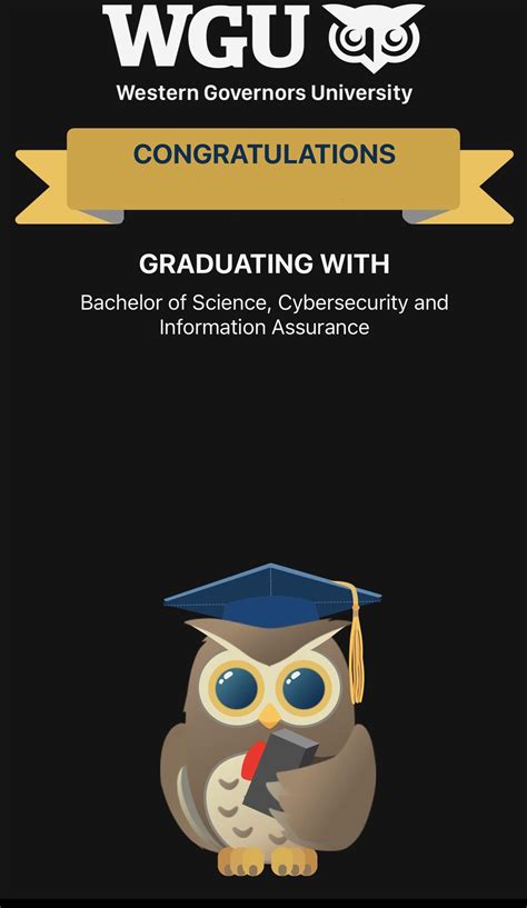 Wgu Bachelor Of Science It Security Emphasis Catalog
