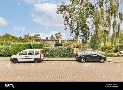 What Are Bushes In Cars