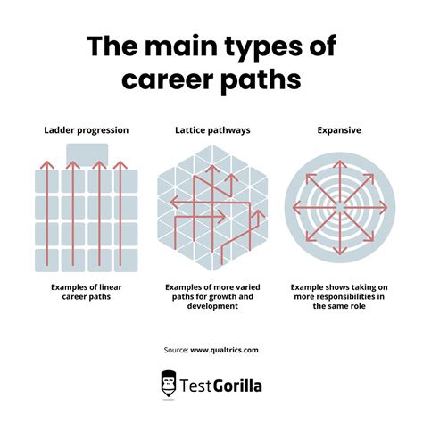 What Are The Types Of Career