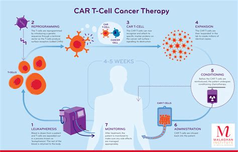 What Is Car T Cell Therapy