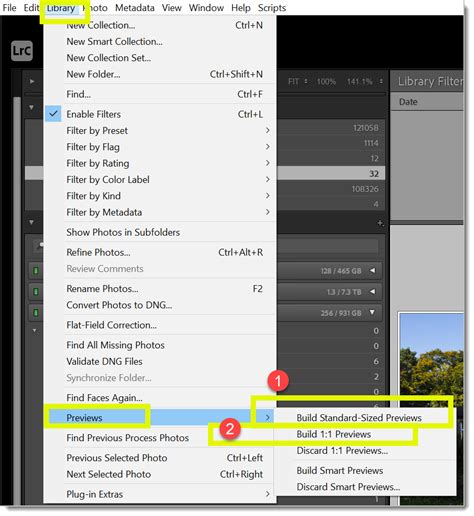 What Is Lightroom Catalog-2 Previews.lrdata