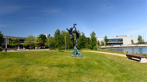 What Is R In Course Catalog Ucd