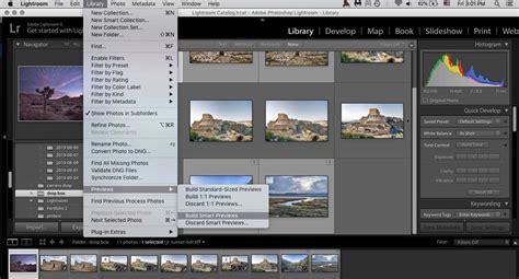 Where Should I Store Lightroom Catalog Smart Previews