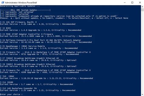 Which Catalog File Does Dell's Dsu Use