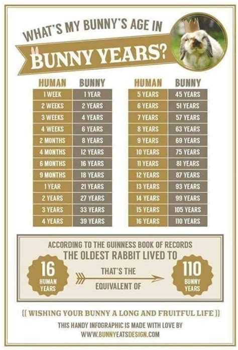 Wild Rabbit Age Chart