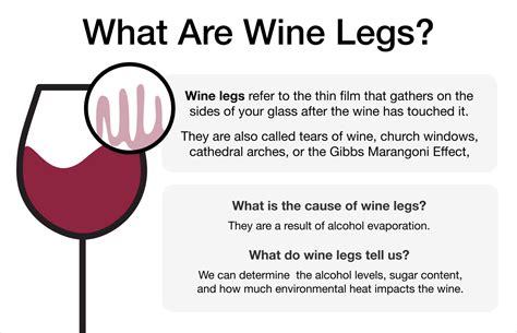 Wine Legs Chart