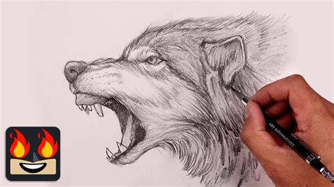 Wolf Hand Drawing