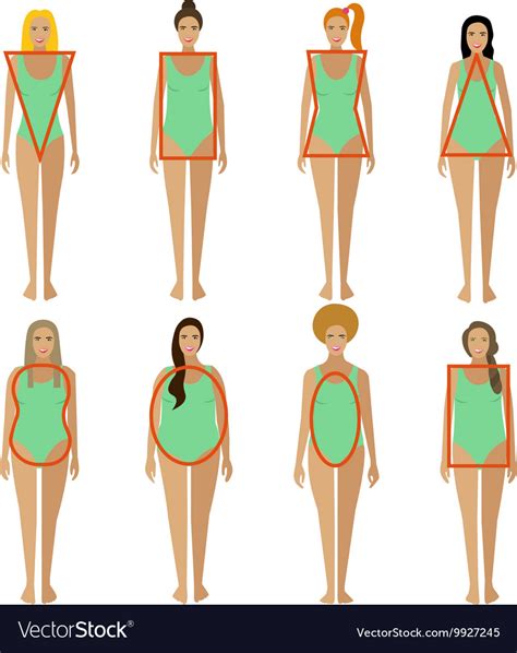 Women's Body Shape Chart