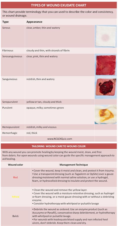Wound Exudate Chart