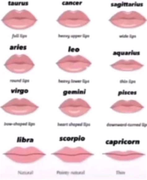 Zodiac Lip Chart