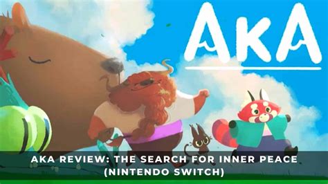 Aka Walkthrough Switch