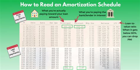 Amortization Calculator Chart