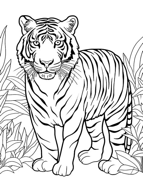 Animal Colouring Printable