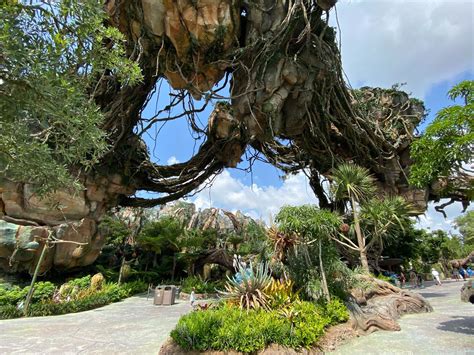 Avatar Land Walkthrough