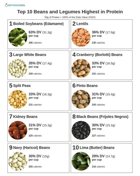 Beans Protein Chart