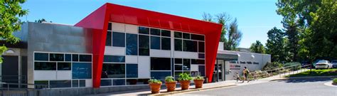 Bemis Library Catalog