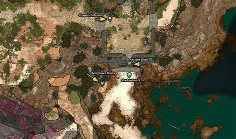 Bg3 Crypt Walkthrough