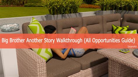 Big Brother Walkthrough Game