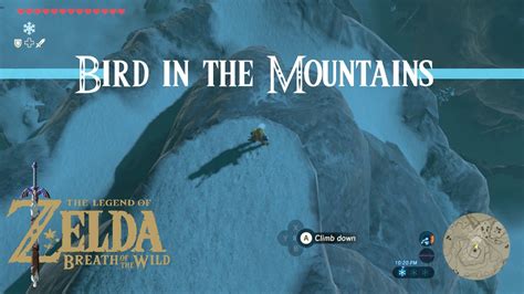 Bird Shrine Walkthrough