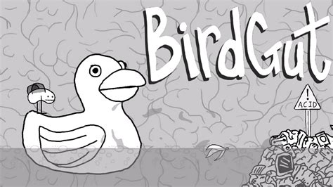 Birdgut Game Walkthrough