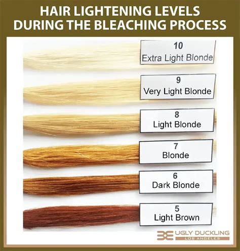 Bleaching Level Chart