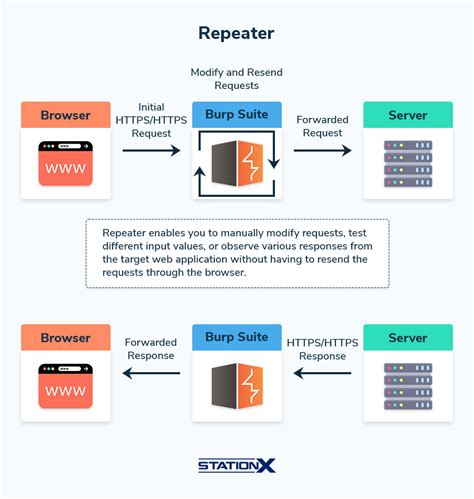 Burp Suite Repeater Walkthrough