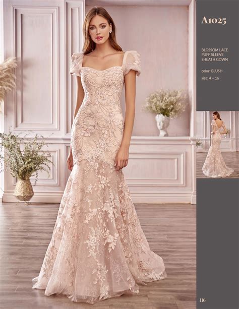 Catalog Design Dresses