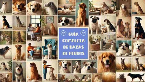Catalogo De Perros