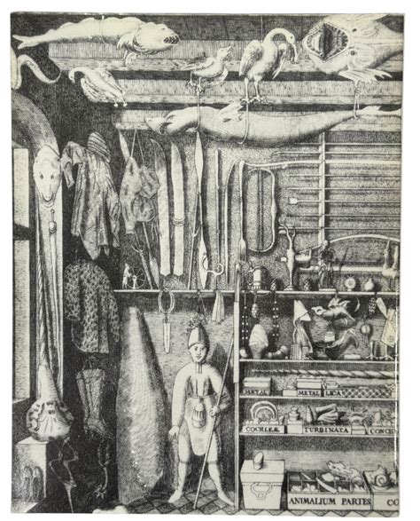 Catalogue Of Curiosities