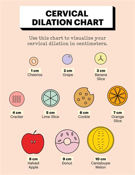 Cervical Dilation Chart