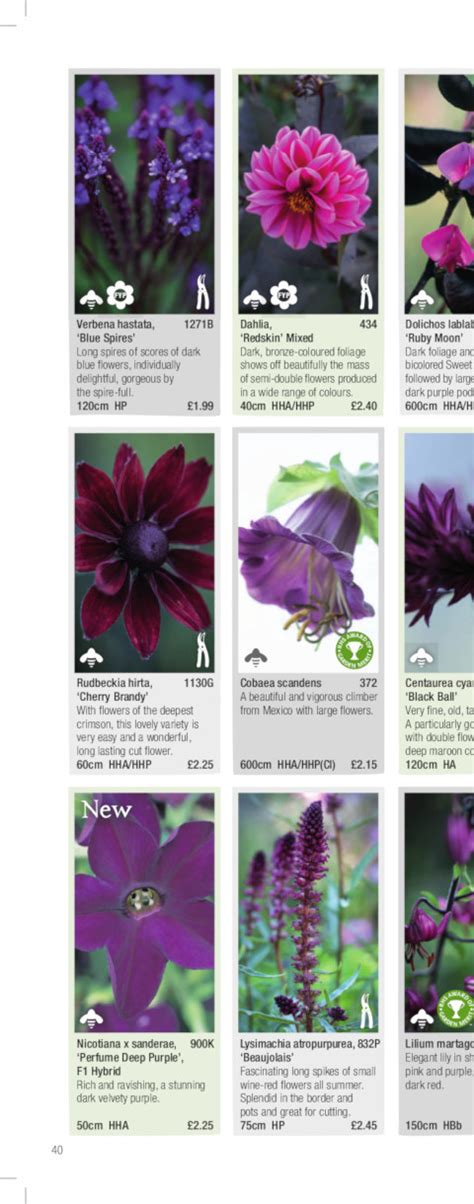 Chiltern Seeds Catalogue