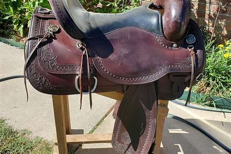 Circle Y Saddlery Catalog