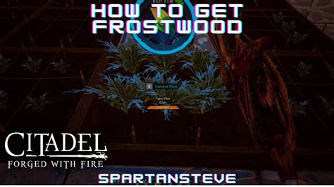 Citadel Forged With Fire Walkthrough