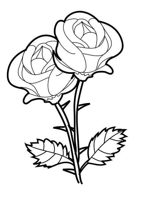 Coloring Pages Roses Printable