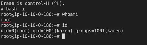 Ctf Walkthrough Privilege Escalation Using Environmental Variables