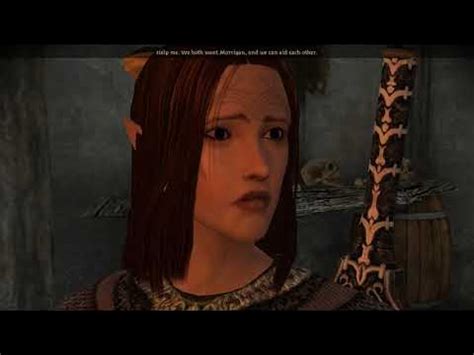 Dao Witch Hunt Walkthrough