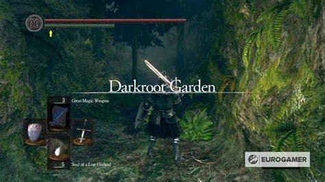 Dark Souls Walkthrough Darkroot Garden