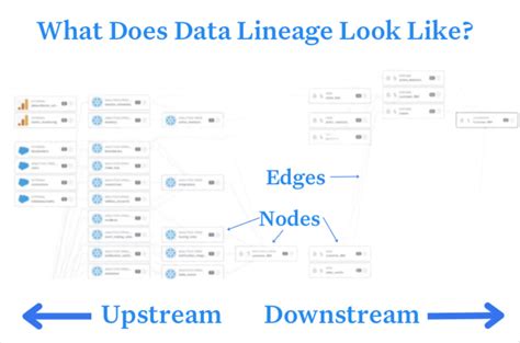 Data Lineage Vs Data Cataloging