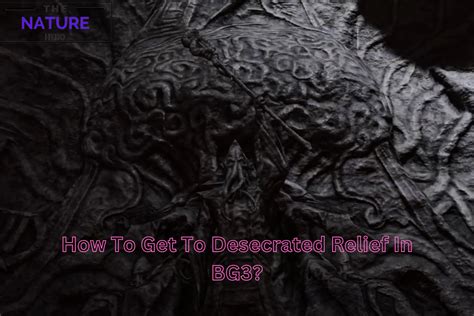 Desecrated Relief Bg3 Walkthrough