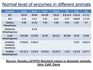 Dog Liver Enzymes Normal Range Chart