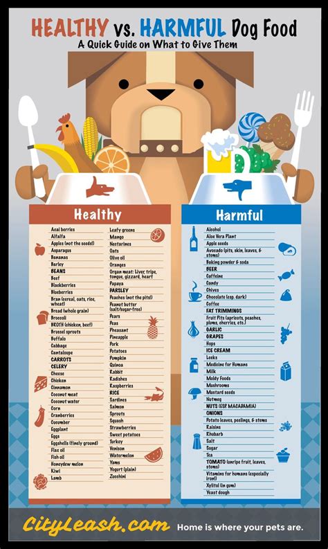 Dog Safe Food Chart