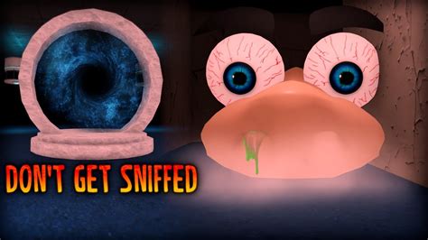 Don T Get Sniffed Walkthrough